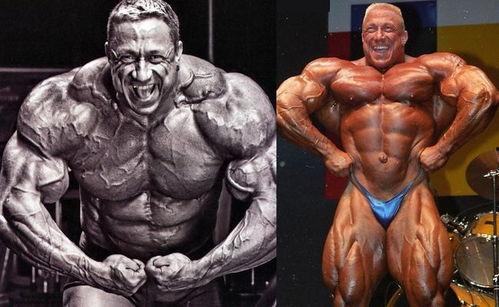 金城健美爆料视频最新一期,揭秘健身行业惊人内幕!